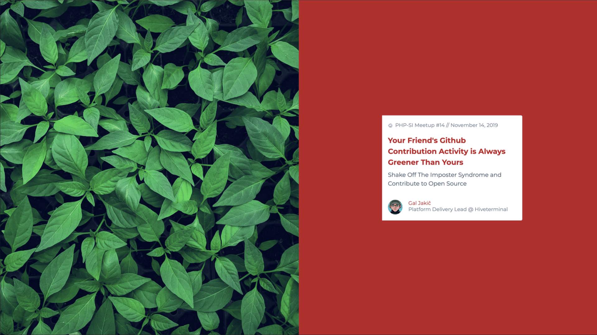 Image of a presentation slide for talk titled Your Friend's Github Contribution Activity Is Always Greener Than Yours